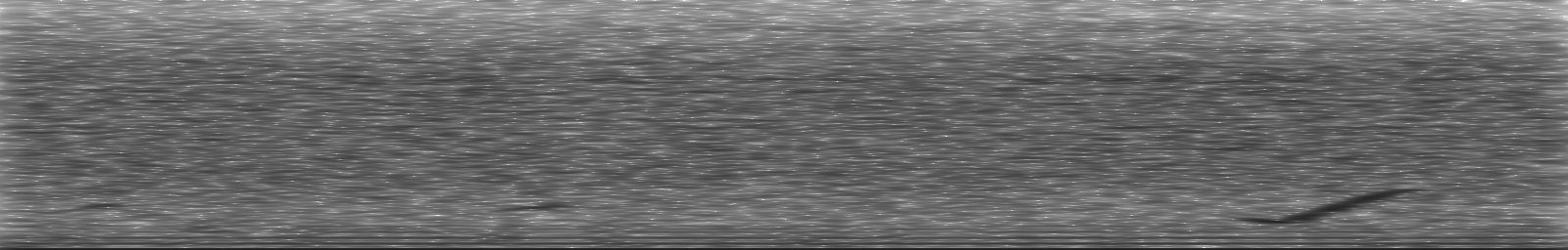 [Loading Spectrogram]