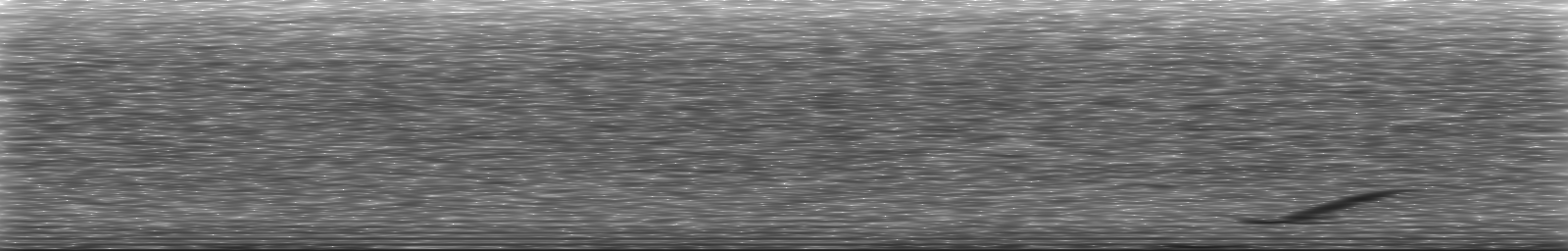 [Loading Spectrogram]