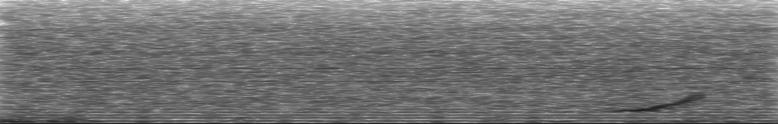 [Loading Spectrogram]