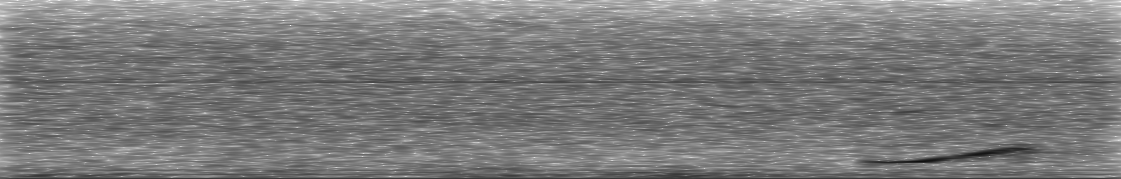 [Loading Spectrogram]