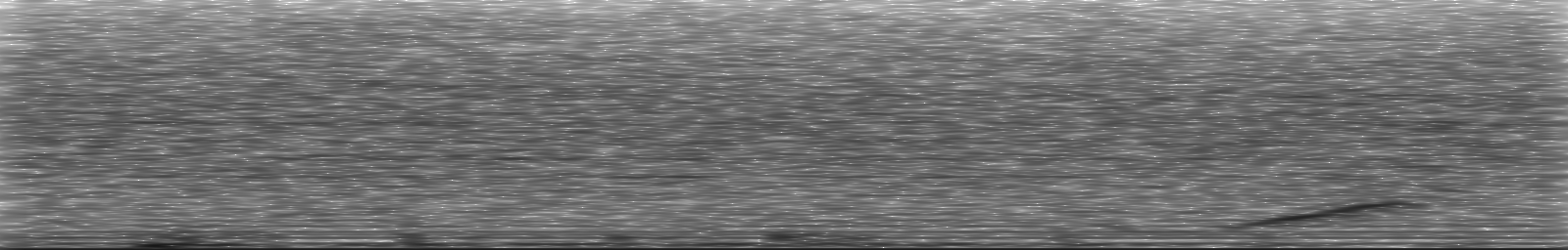 [Loading Spectrogram]