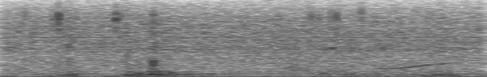 [Loading Spectrogram]