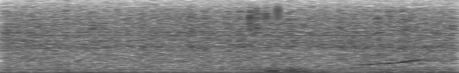 [Loading Spectrogram]