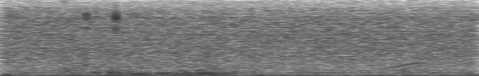 [Loading Spectrogram]