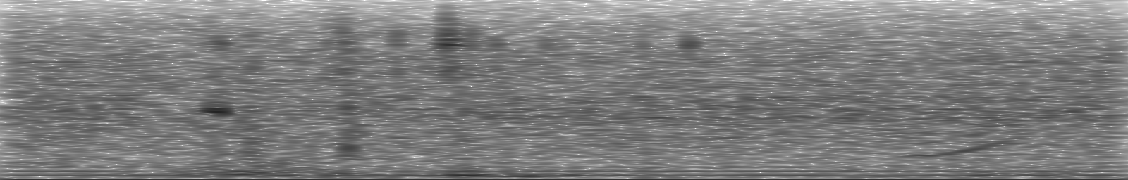 [Loading Spectrogram]