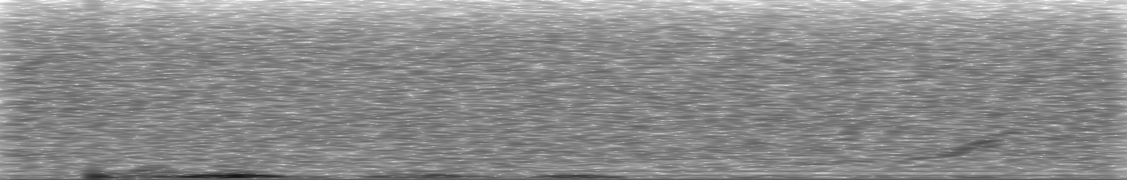 [Loading Spectrogram]
