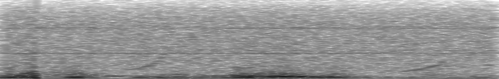 [Loading Spectrogram]