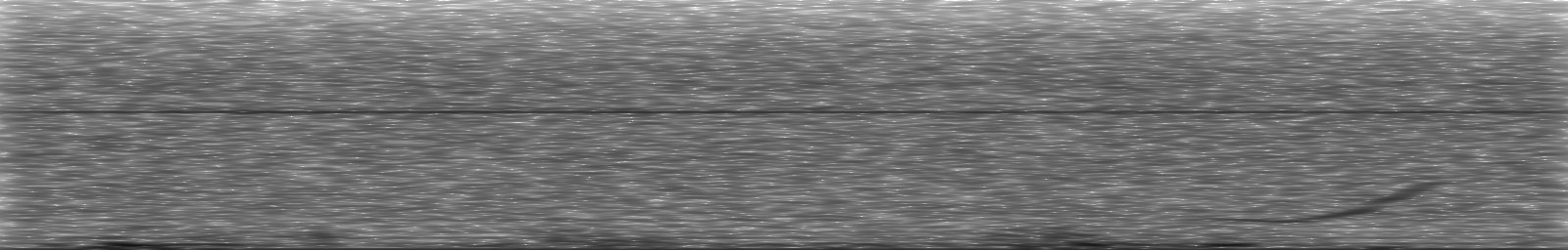 [Loading Spectrogram]