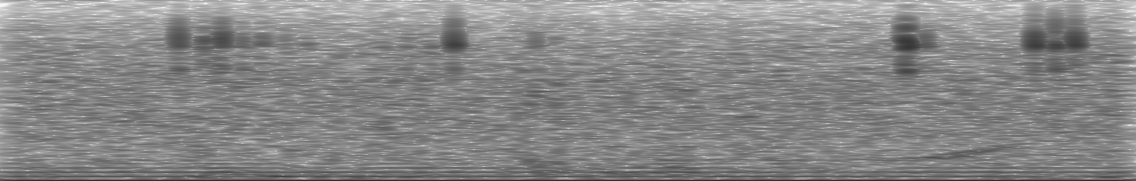 [Loading Spectrogram]