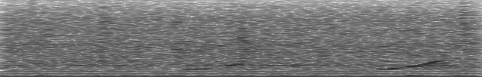 [Loading Spectrogram]