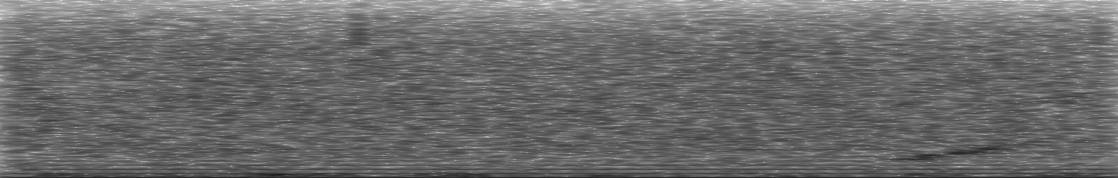 [Loading Spectrogram]