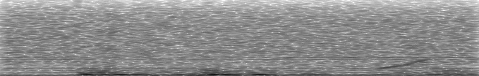[Loading Spectrogram]