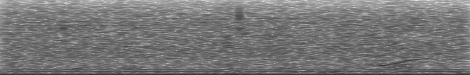 [Loading Spectrogram]