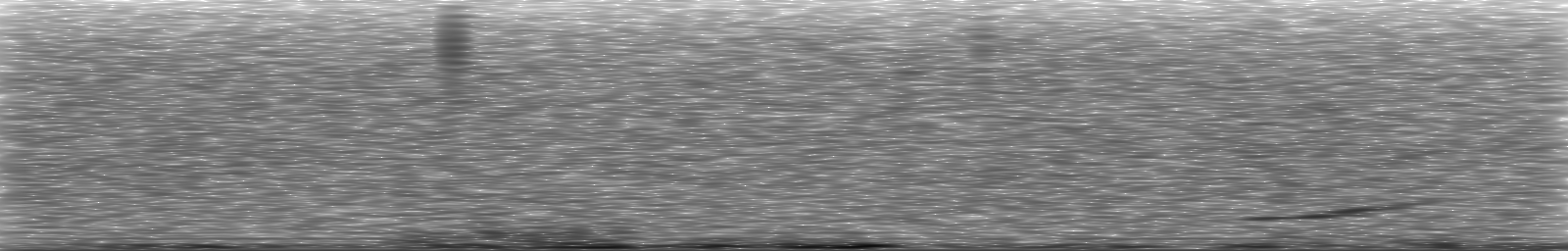 [Loading Spectrogram]