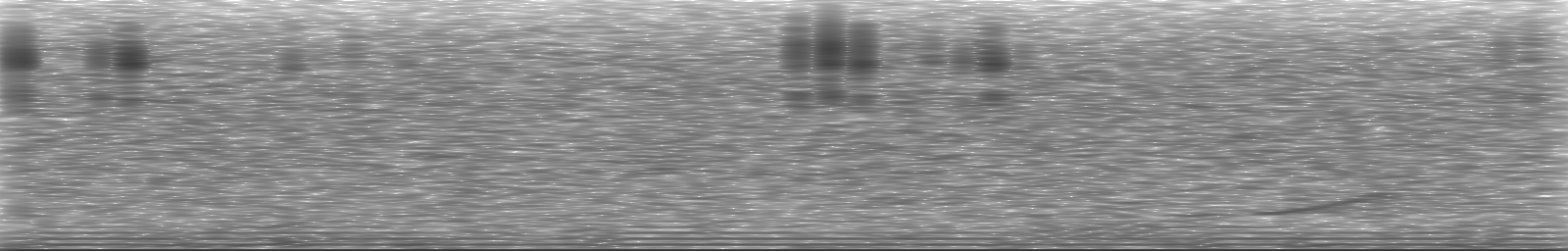 [Loading Spectrogram]