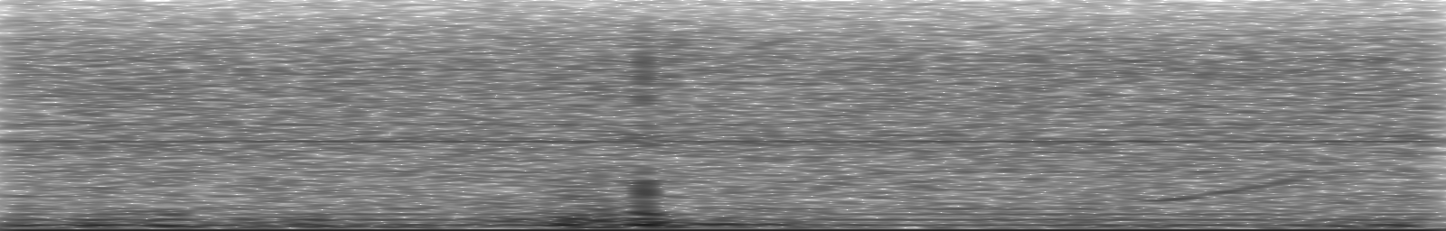 [Loading Spectrogram]