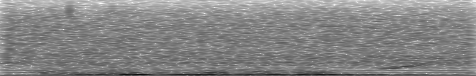 [Loading Spectrogram]