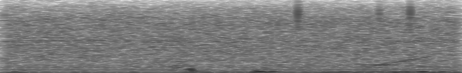 [Loading Spectrogram]