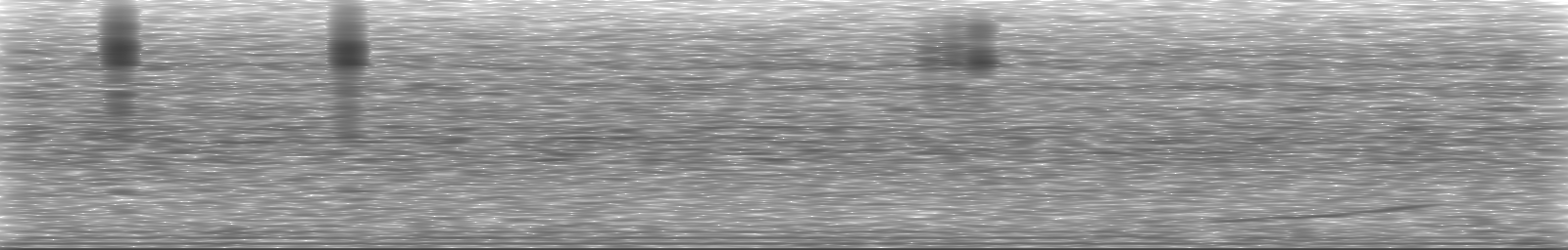 [Loading Spectrogram]