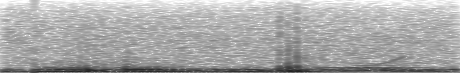 [Loading Spectrogram]