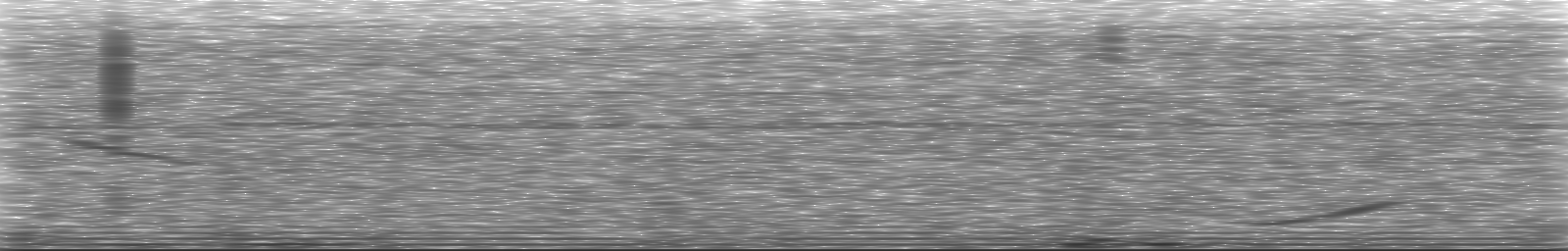 [Loading Spectrogram]