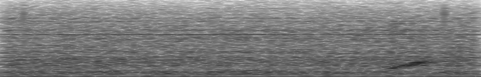 [Loading Spectrogram]
