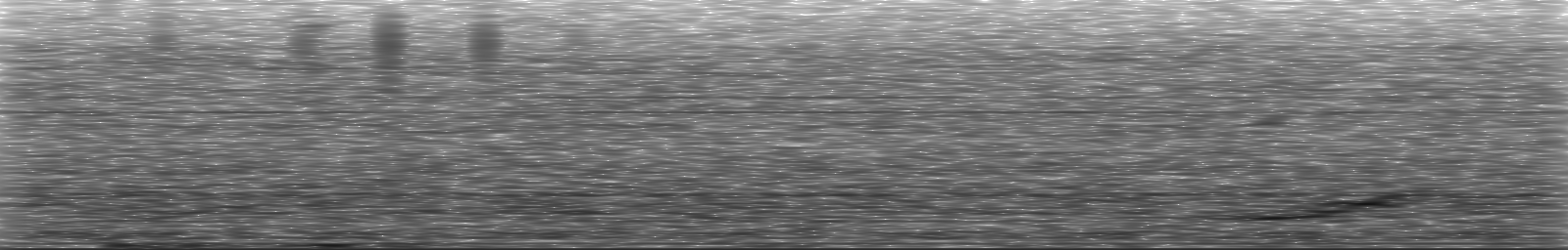 [Loading Spectrogram]
