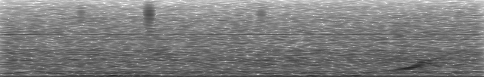 [Loading Spectrogram]