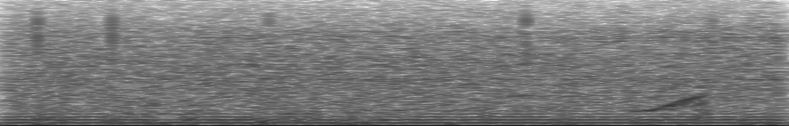 [Loading Spectrogram]