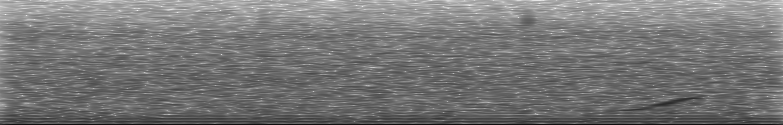 [Loading Spectrogram]