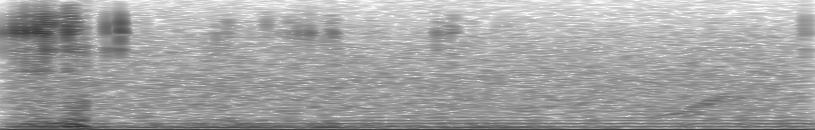 [Loading Spectrogram]
