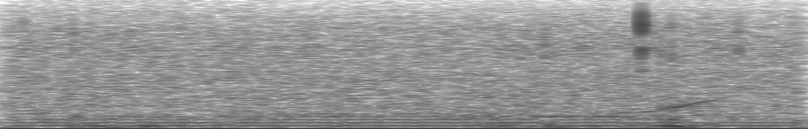 [Loading Spectrogram]
