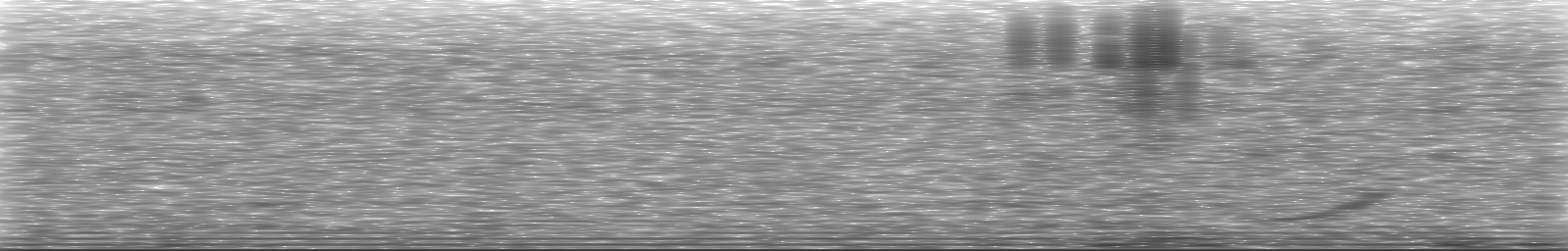 [Loading Spectrogram]