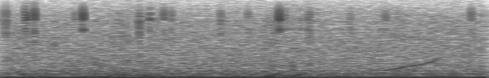 [Loading Spectrogram]