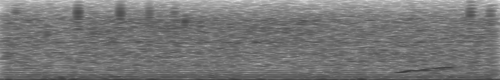 [Loading Spectrogram]