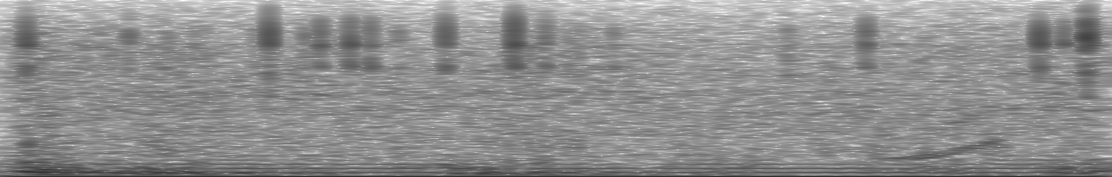[Loading Spectrogram]