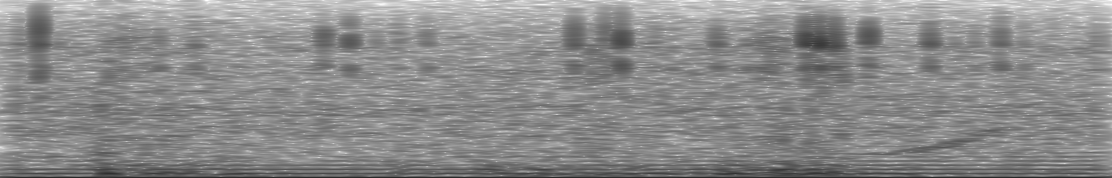 [Loading Spectrogram]
