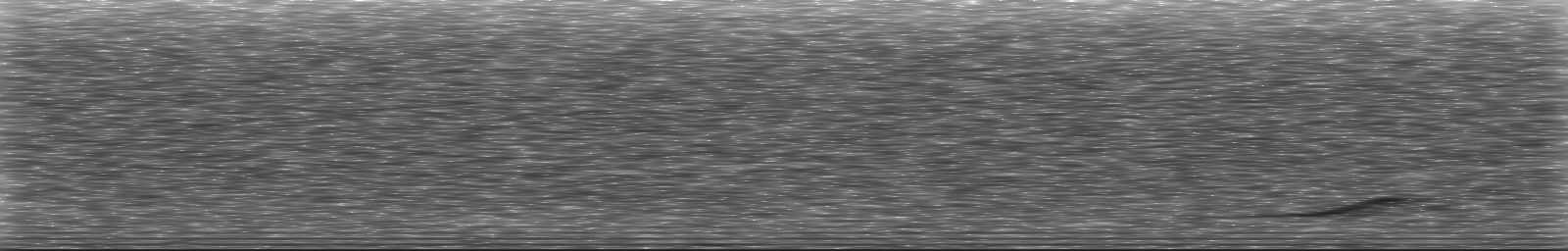 [Loading Spectrogram]