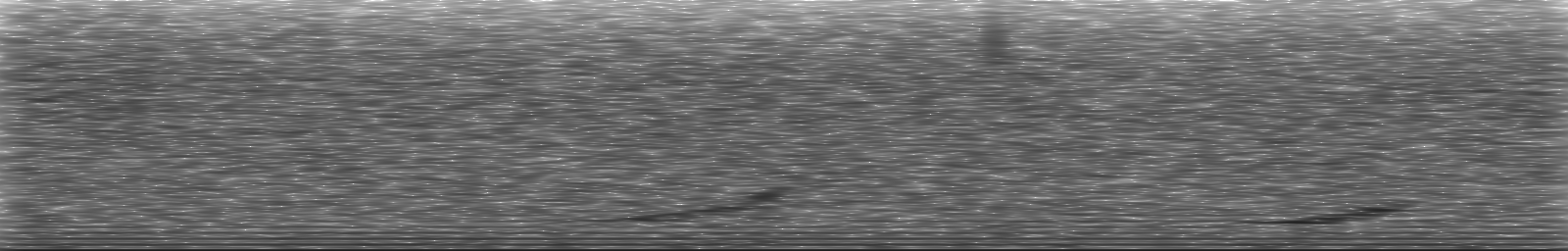 [Loading Spectrogram]