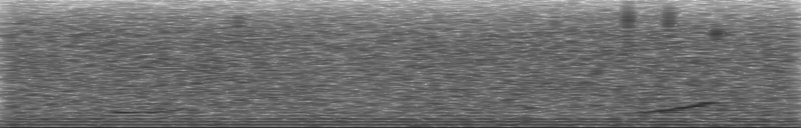 [Loading Spectrogram]