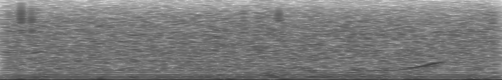 [Loading Spectrogram]