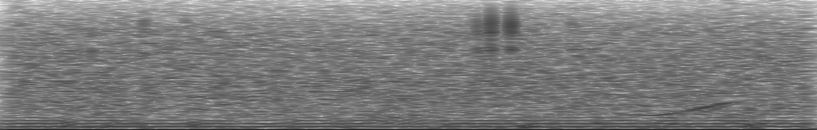 [Loading Spectrogram]