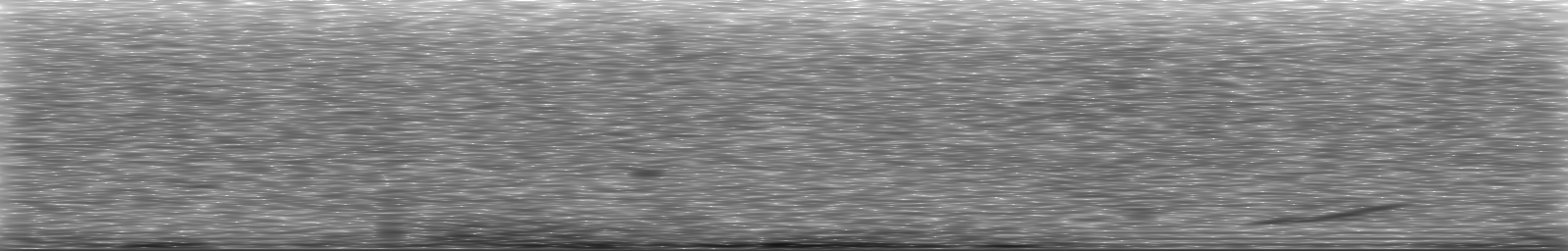 [Loading Spectrogram]