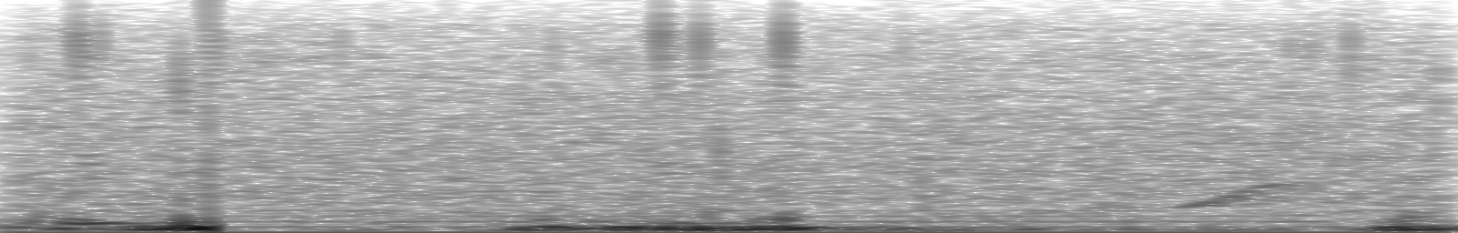 [Loading Spectrogram]