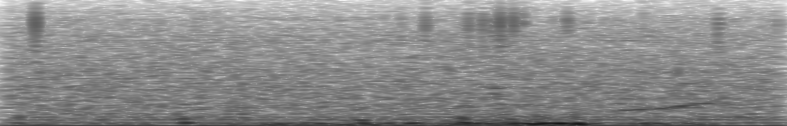 [Loading Spectrogram]