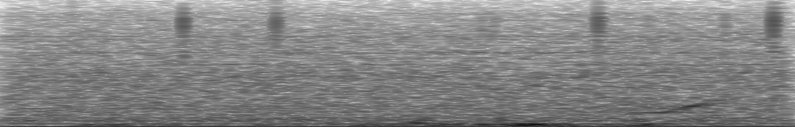 [Loading Spectrogram]