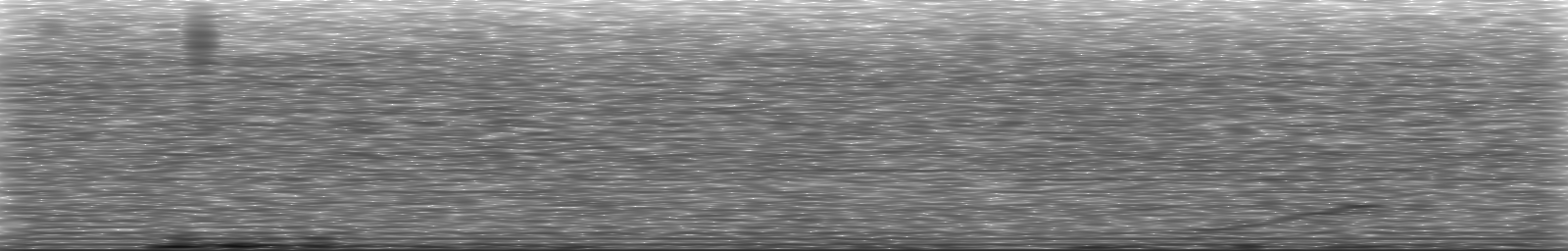 [Loading Spectrogram]