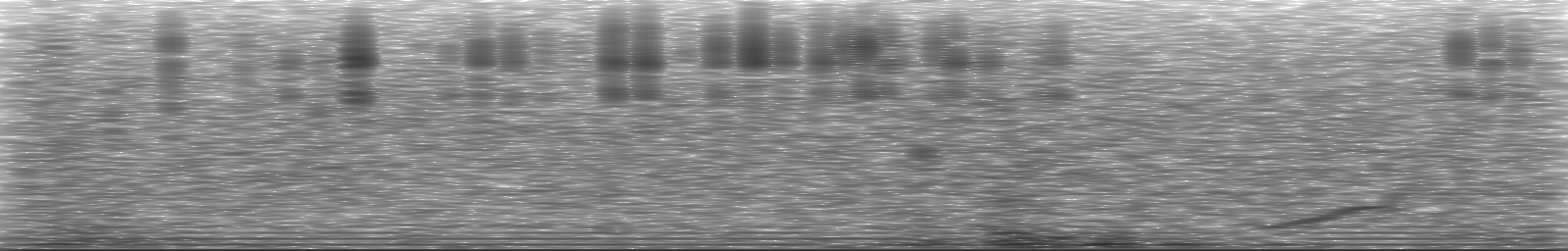 [Loading Spectrogram]