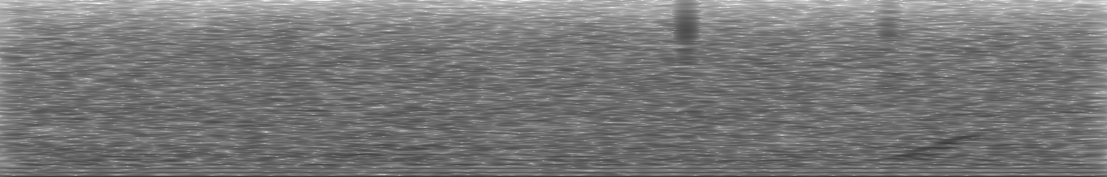 [Loading Spectrogram]