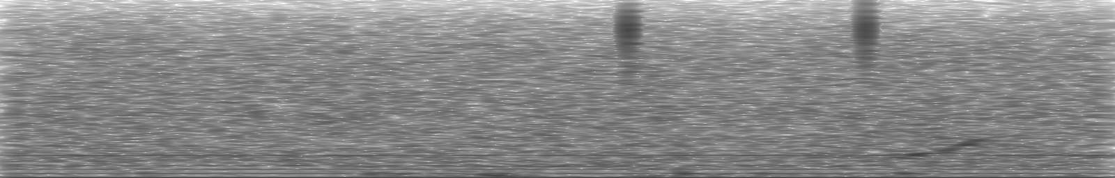 [Loading Spectrogram]